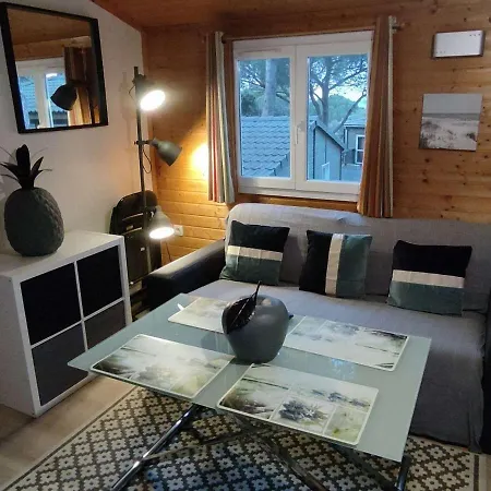 Chalet Climatise Avec Piscine Chauffee Et Parking Dans Pinede Calme - Fr-1-607-64 *
