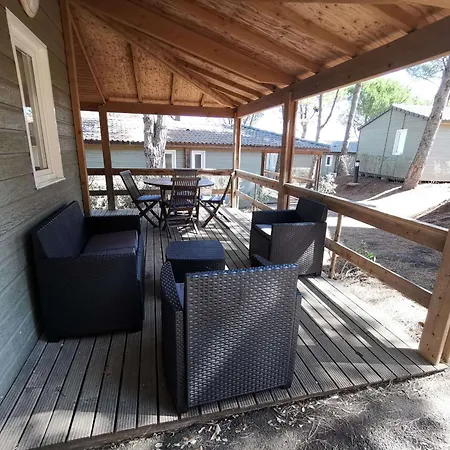 木屋 Climatise Avec Piscine Chauffee Et Parking Dans Pinede Calme - Fr-1-607-64 *