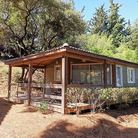 木屋 Climatise Avec Piscine Chauffee Et Parking Dans Pinede Calme - Fr-1-607-64