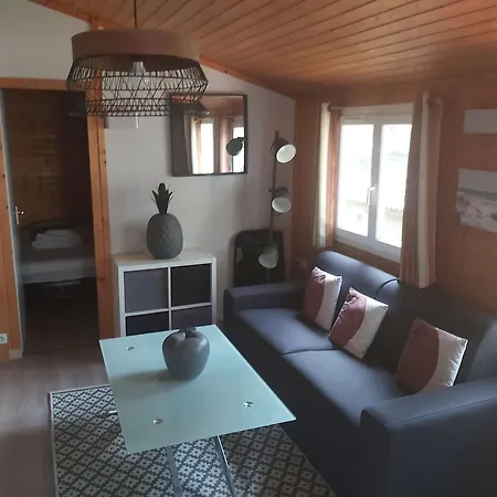 Chalet Climatise Avec Piscine Chauffee Et Parking Dans Pinede Calme - Fr-1-607-64 Agde